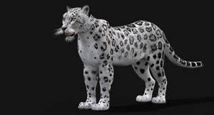 Realistic Snow Leopard 3D Model for game Thumbnail