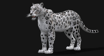 Big Cats 03 3D Model