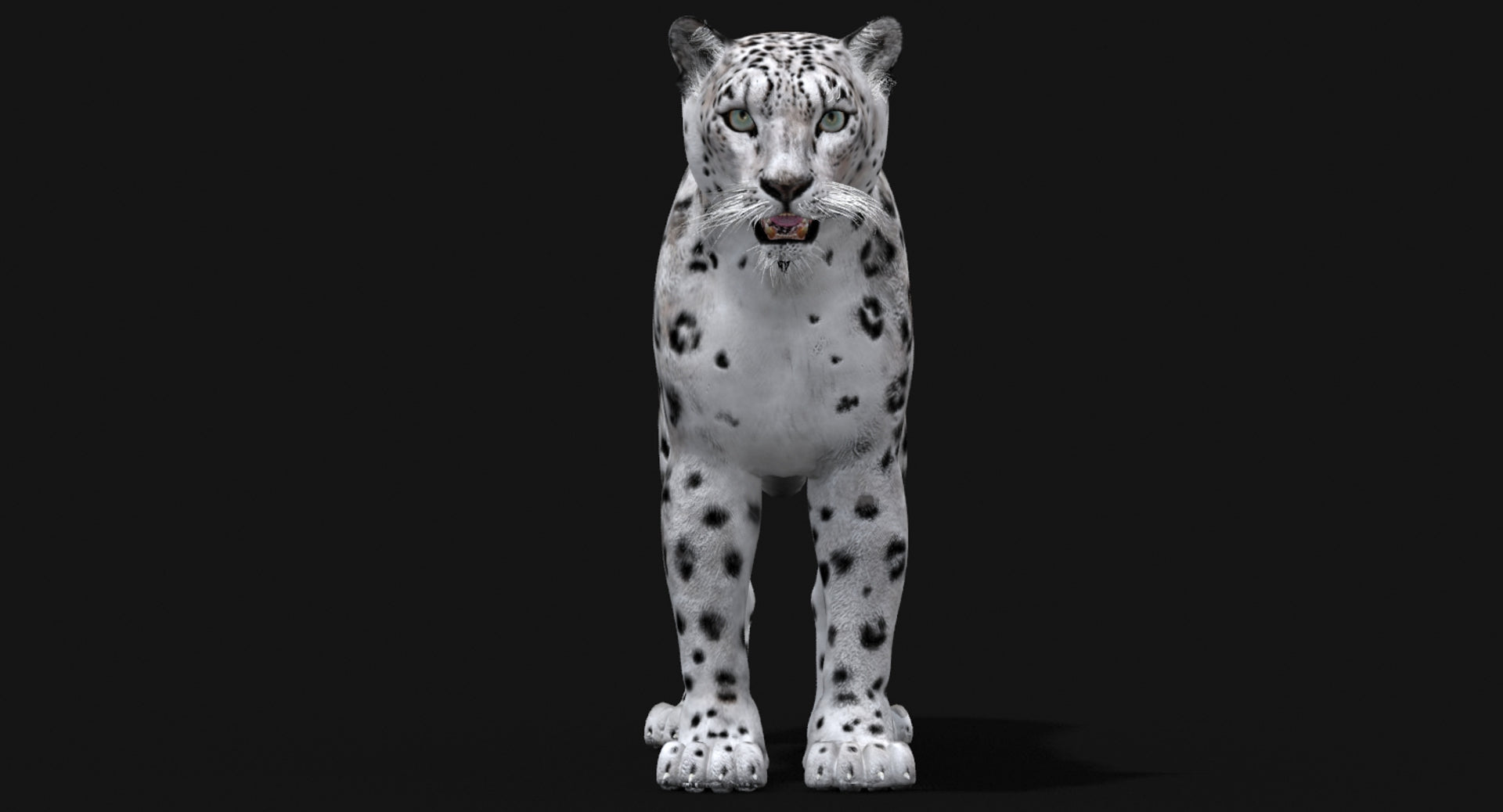 Big Cats 03 3D Model