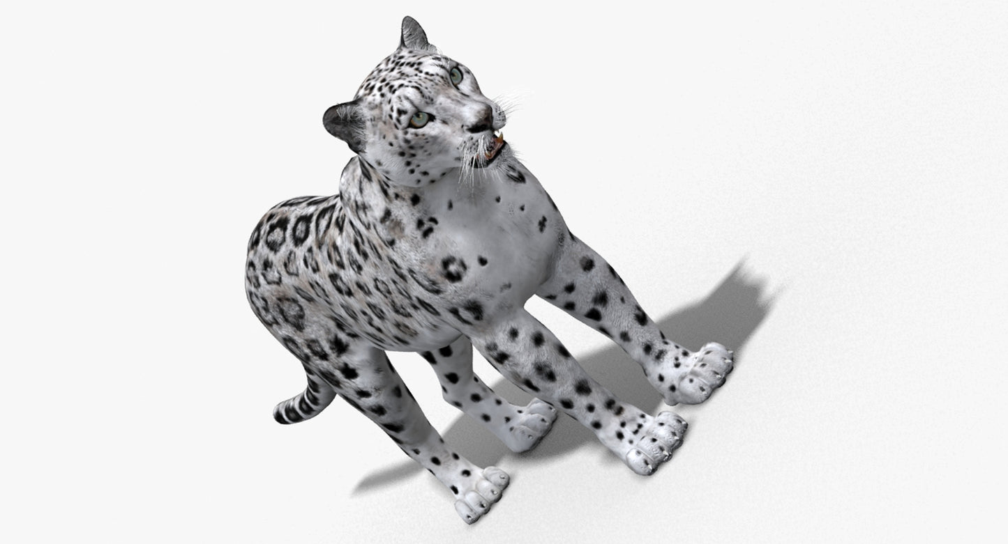 Big Cats 03 3D Model