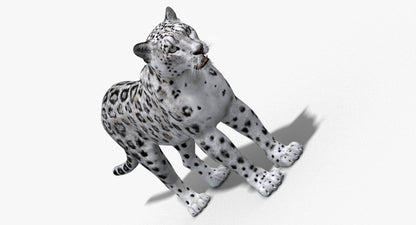 Big Cats 03 3D Model