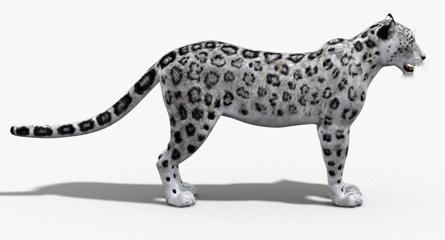 Big Cats 03 3D Model