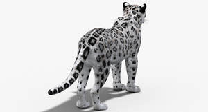 Big Cats 03 3D Model Thumbnail