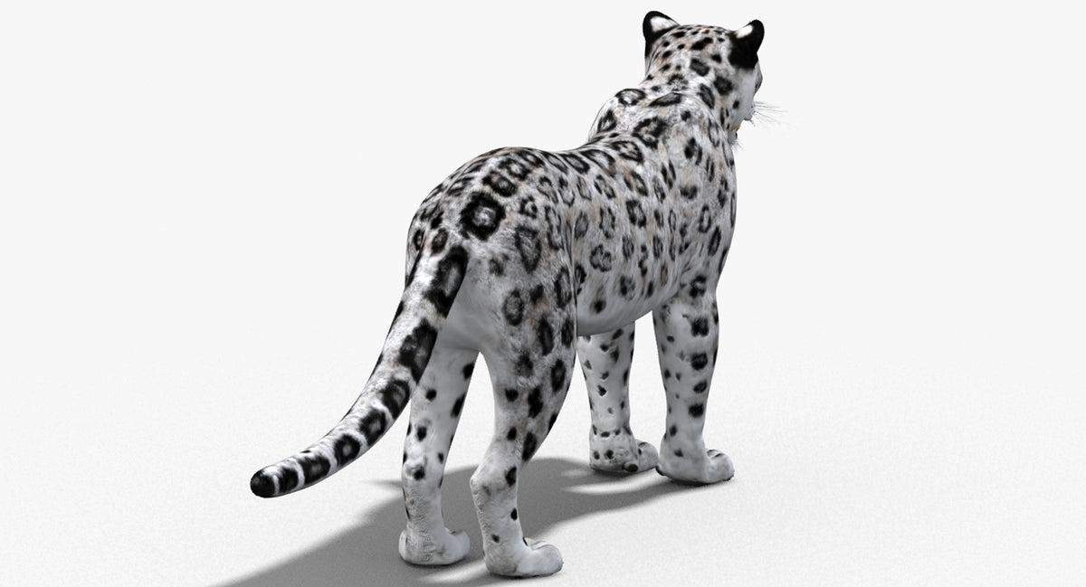 Big Cats 03 3D Model