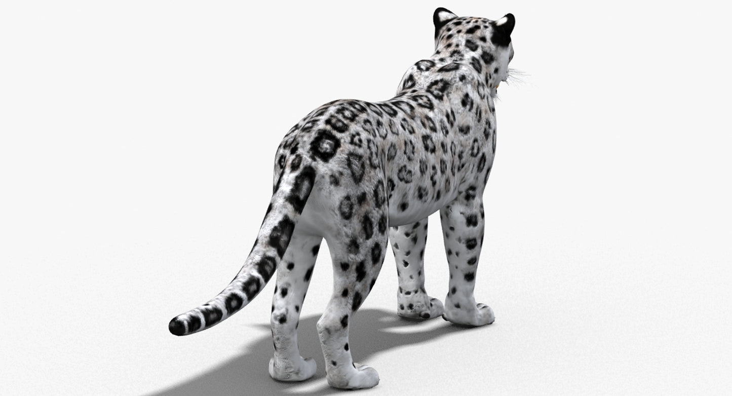 Big Cats 03 3D Model