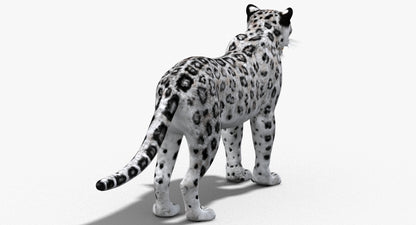 Big Cats 03 3D Model