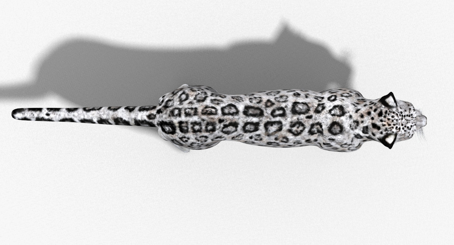 Big Cats 03 3D Model