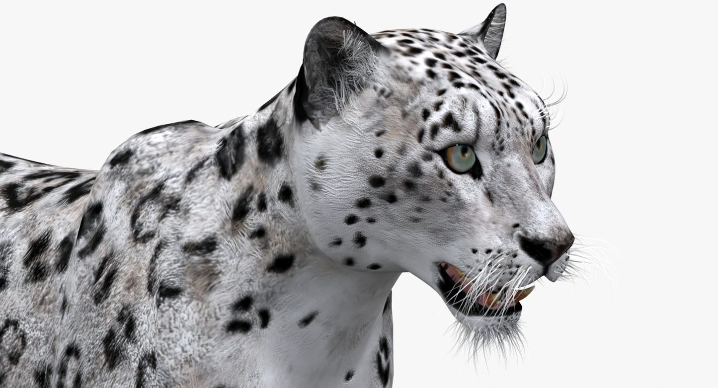 Big Cats 03 3D Model