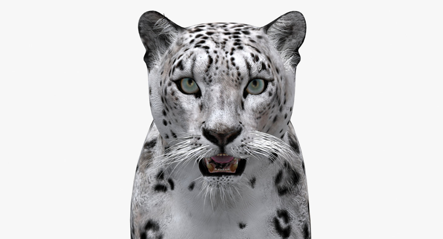 Big Cats 03 3D Model