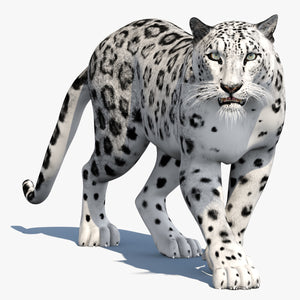Animated Snow Leopard 3D Model Thumbnail