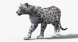 Animated Snow Leopard 3D Model for Game, and VR. Thumbnail