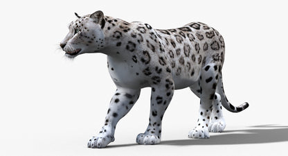 Snow Leopard 3D Model Animated