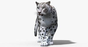 Animated Snow Leopard 3D Model Thumbnail