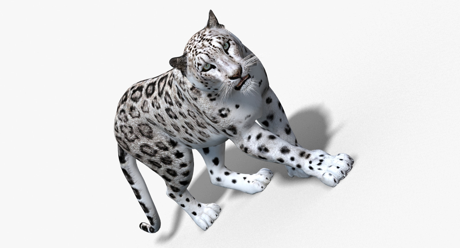 Animated Snow Leopard 3D Model