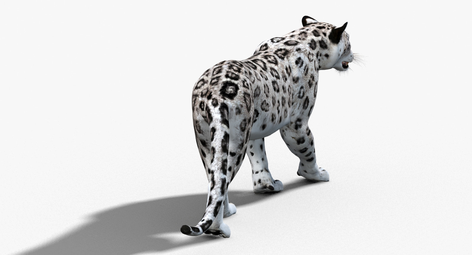 Animated Snow Leopard 3D Model