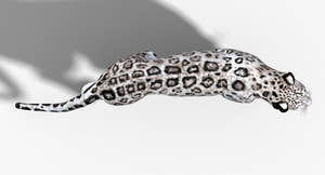 Animated Snow Leopard 3D Model Thumbnail