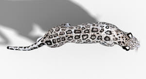 Animated Snow Leopard 3D Model Thumbnail
