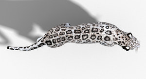 Animated Snow Leopard 3D Model Thumbnail