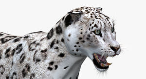 Animated Snow Leopard 3D Model Thumbnail