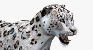 Animated Snow Leopard 3D Model Thumbnail