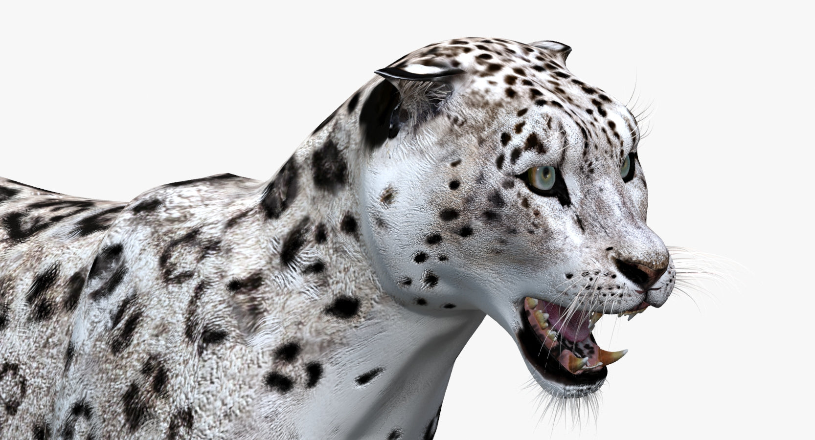 Animated Snow Leopard 3D Model