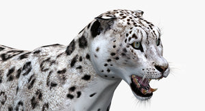 Animated Snow Leopard 3D Model Thumbnail