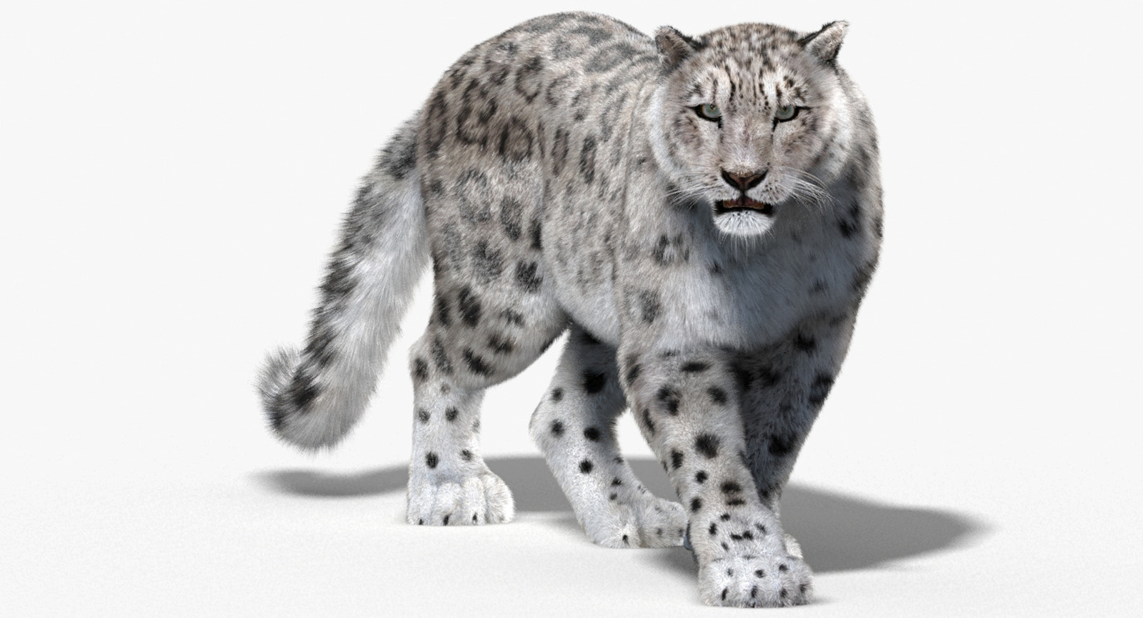 Animated Snow Leopard 3D Model for Download