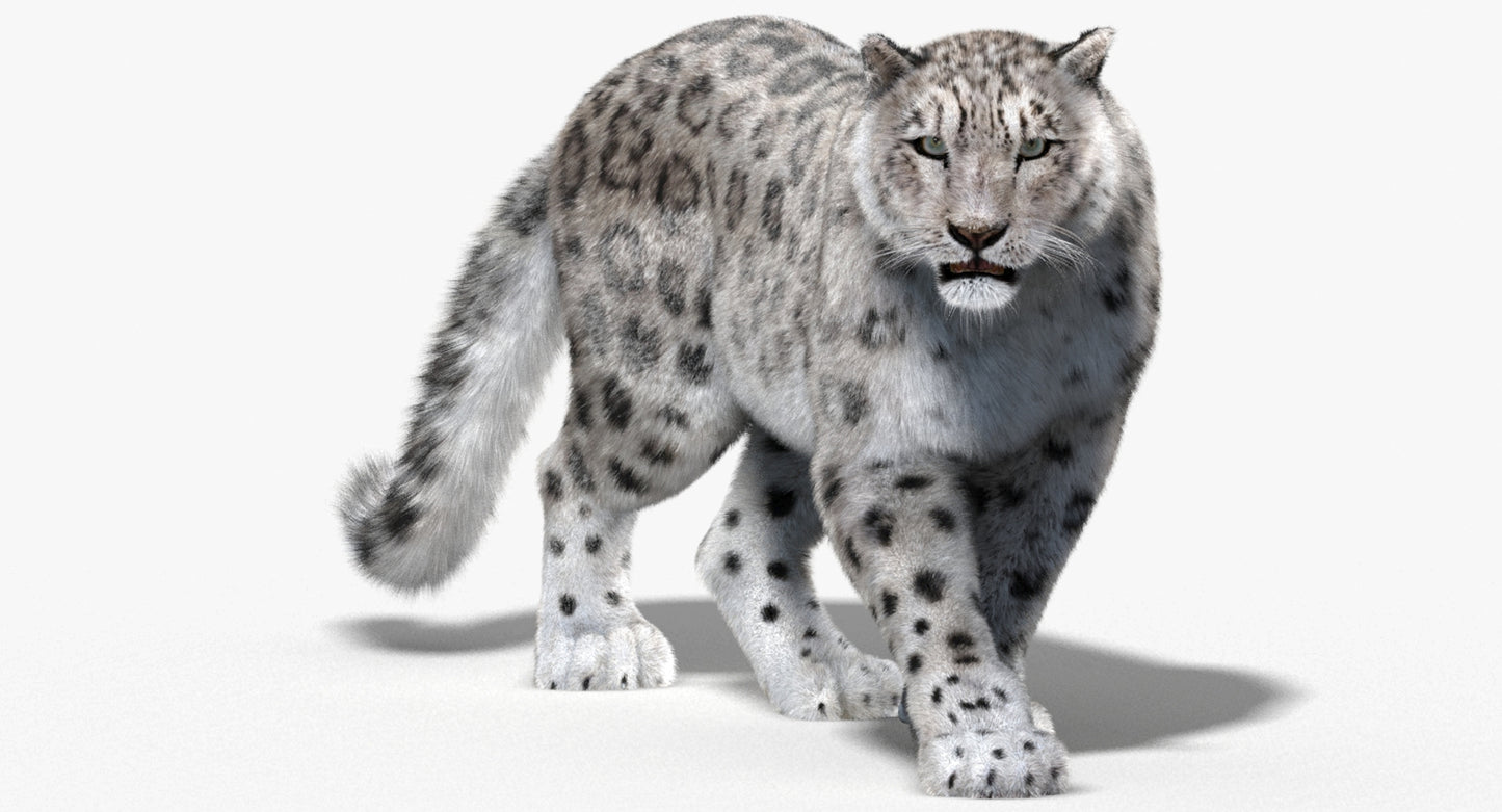 Animated Big Cats 3D Model Fur