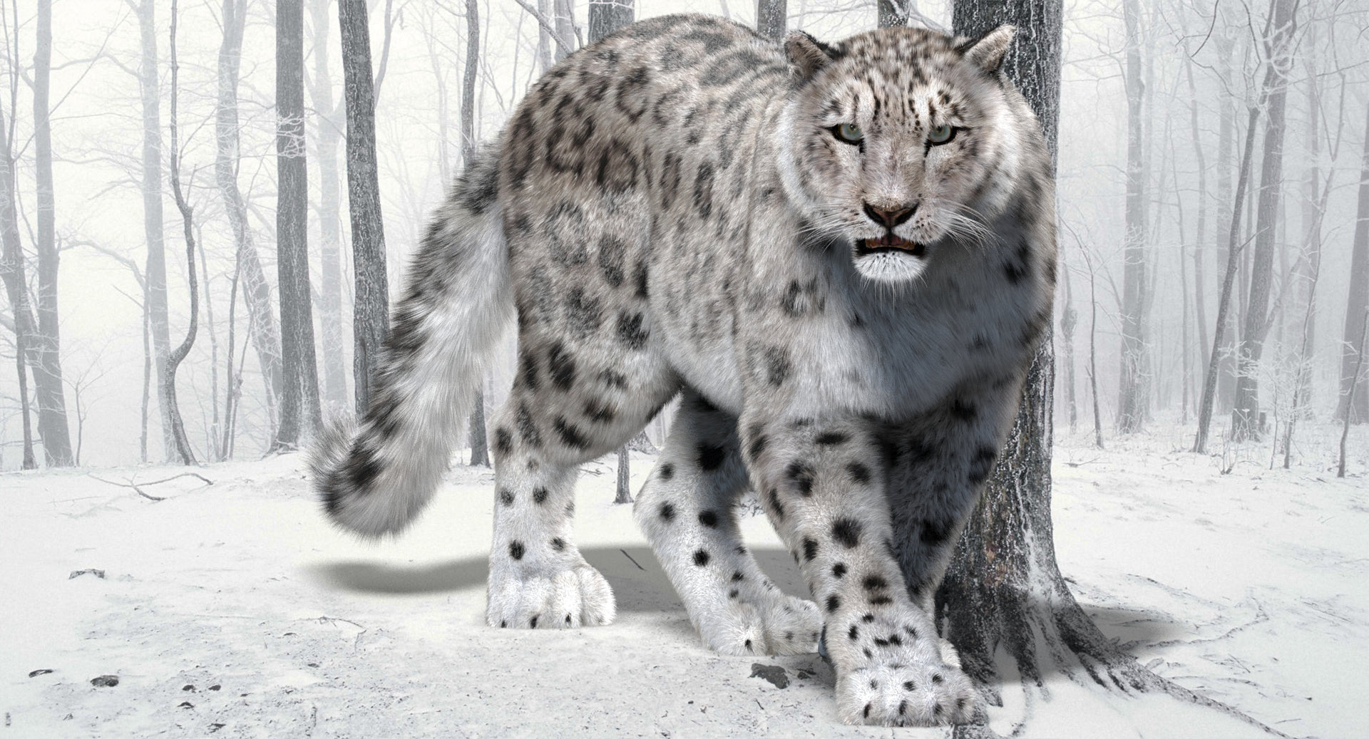 Animated Snow Leopard 3D Model for Download