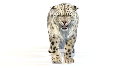 Animated Snow Leopard 3D Model Fur