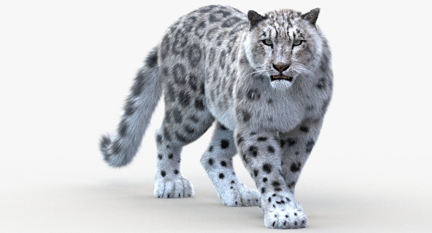 Animated Big Cats 3D Model Fur