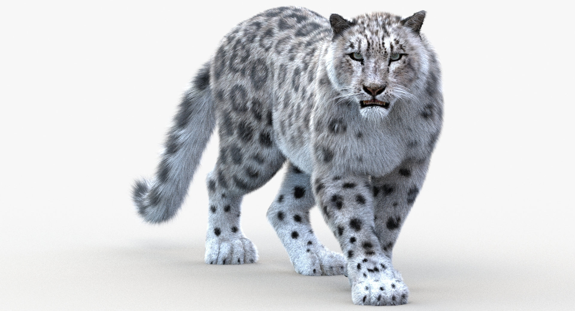 Animated Snow Leopard 3D Model for Download