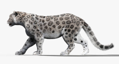 Animated Big Cats 3D Model Fur