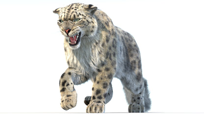 Animated Snow Leopard 3D Model Fur
