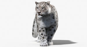 Animated Big Cats 3D Model Fur Thumbnail