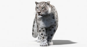 Animated Big Cats 3D Model Fur Thumbnail