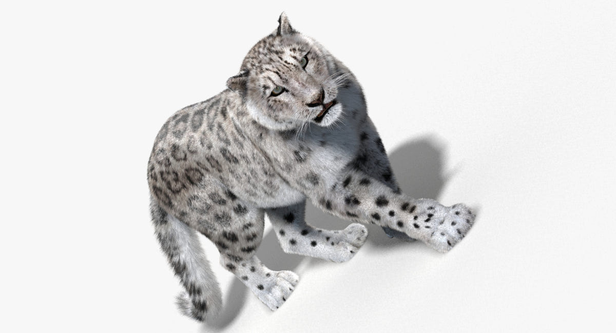 Animated Big Cats 3D Model Fur