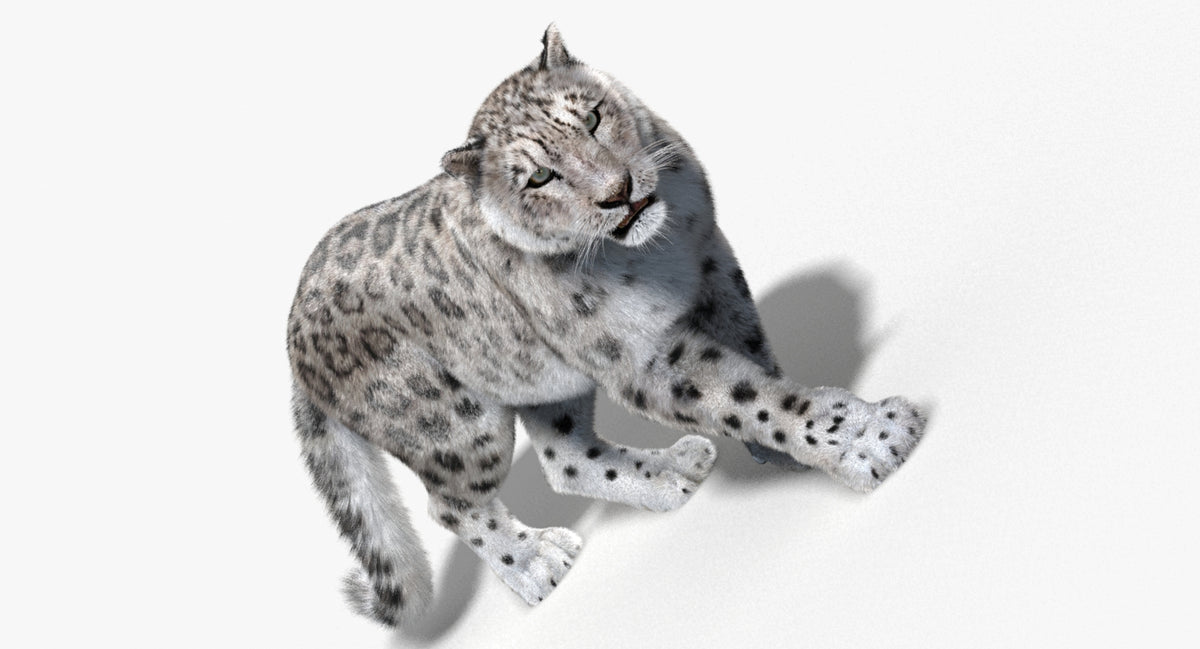 Animated Big Cats 3D Model Fur