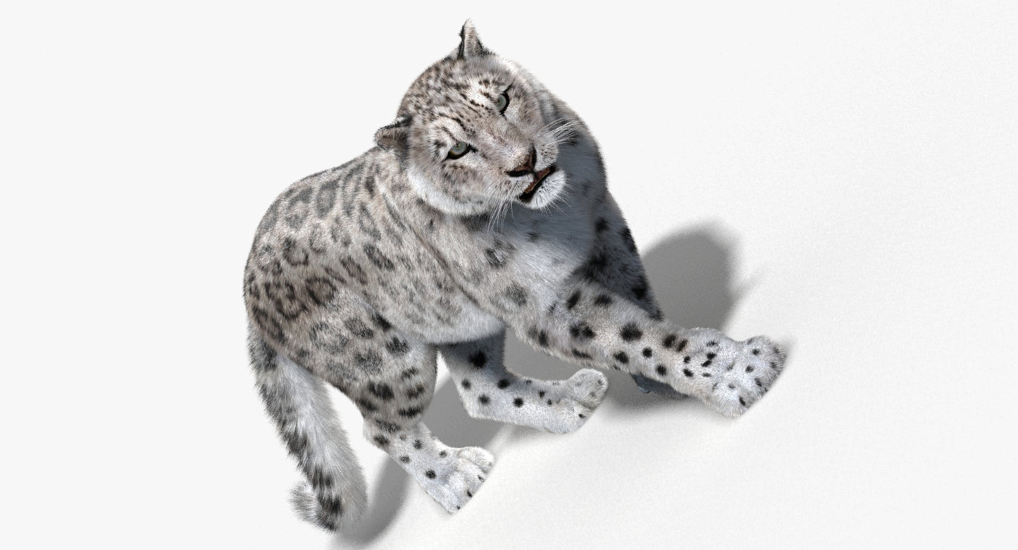 Animated Big Cats 3D Model Fur