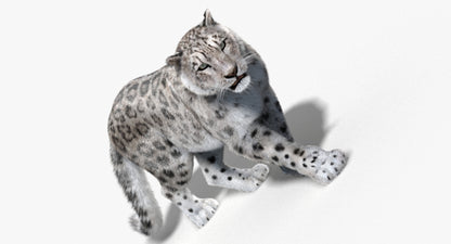 Animated Big Cats 3D Model Fur