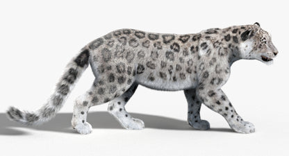 Animated Big Cats 3D Model Fur