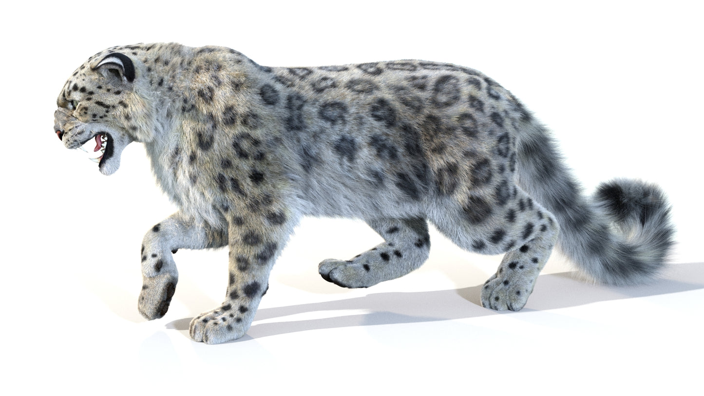Animated Snow Leopard 3D Model Fur