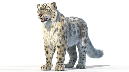 Animated Snow Leopard 3D Model Fur