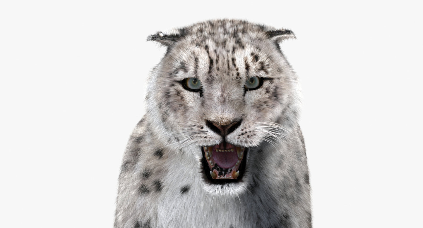 Animated Big Cats 3D Model Fur