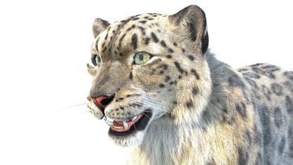 Animated Snow Leopard 3D Model Fur