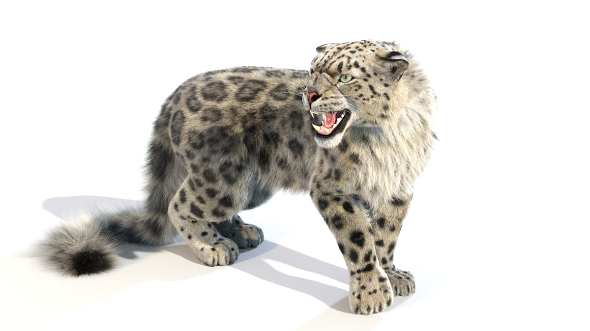 Rigged snow leopard 3D model groomed with 3ds Max Hair and Fur