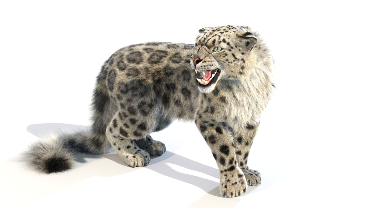 Rigged snow leopard 3D model groomed with 3ds Max Hair and Fur