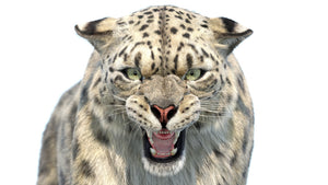 Animated Snow Leopard 3D Model with Hair and Fur Head Close Up Thumbnail