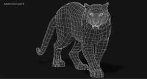 Animated Big Cats 3D Model Fur Thumbnail