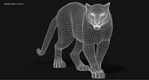 Animated Big Cats 3D Model Fur Thumbnail